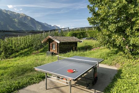 Tischtennisplatte