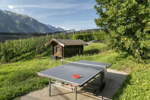 Tischtennisplatte