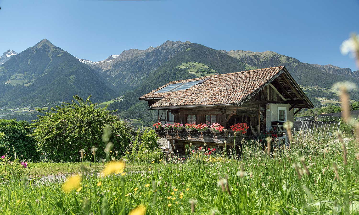 Loth Hof in Schenna bei Meran