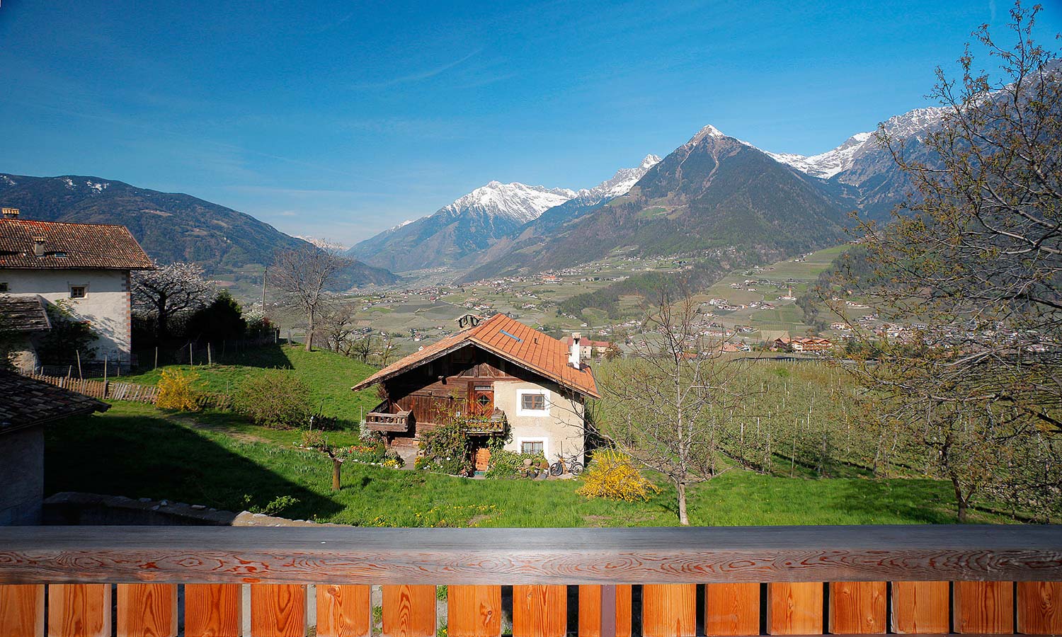 Ausblick von den Balkonen der Ferienwohnungen