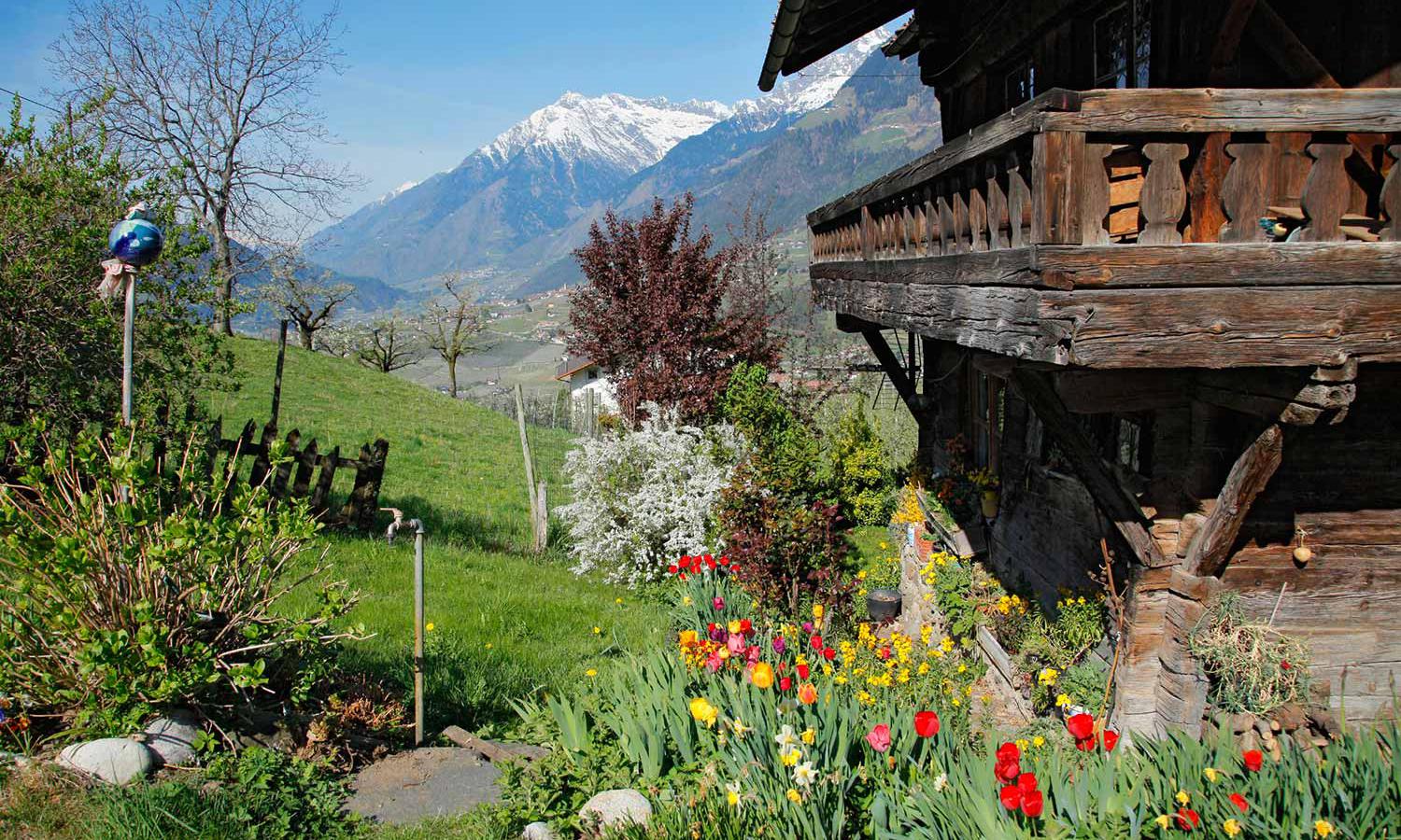 Giardino fiorito al Loth-Hof di Scena